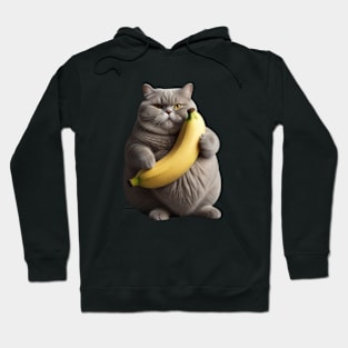 CUTE FAT CAT BANANA Hoodie